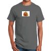 Ultra Cotton ® 100% US Cotton T Shirt Thumbnail